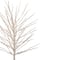 5ft. Pre-Lit White Twig Christmas Tree, Warm White LED Lights